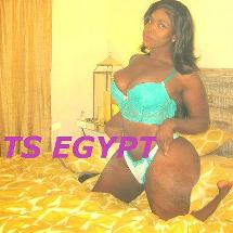 Ts egypt miami