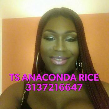 Anaconda rice ts ::Other Notification